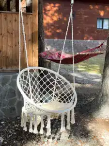 Forest yard - 5