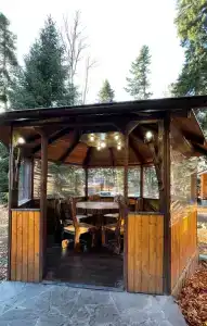 Forest yard - 3