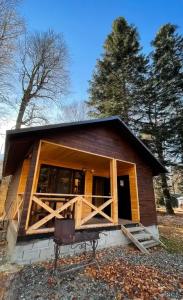 Forest yard - 11