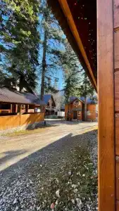 Forest yard - 6