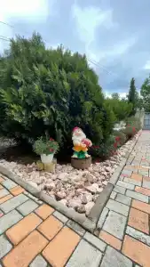 Комфорт - 3