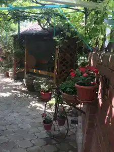 Инжир - 6
