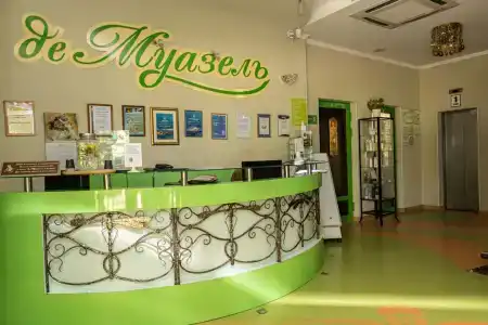 Де Муазель - 3