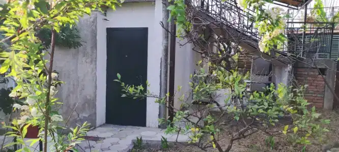 у Мирославы - 3