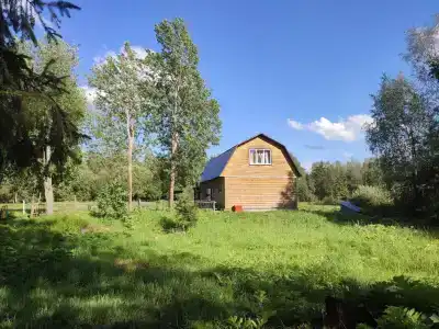 Березки - 3