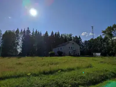 Березки - 2