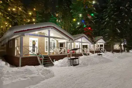 Пихта-парк - 3