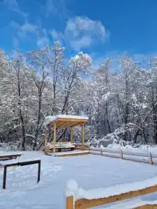 Лесной Домотканово - 4