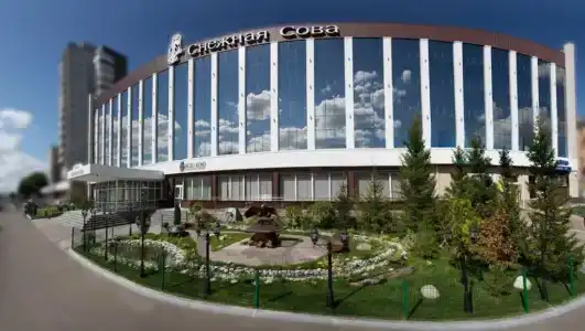 Снежная Сова - 1