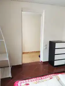 Зеленый дом - 8