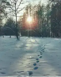 Актёр-Руза - 26