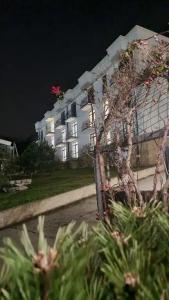 АртАри - 4