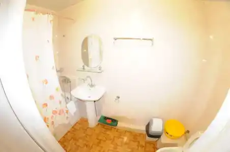 Домино - 5