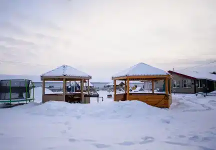 Мурманская страусиная ферма - 5