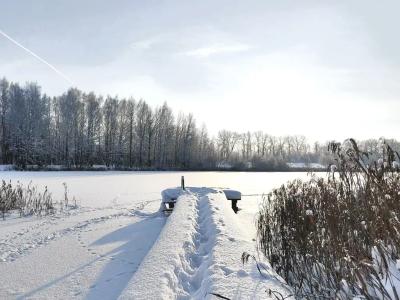 Серебряный Век - 35