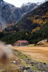 Марал - 0