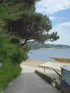 Панеа - 36