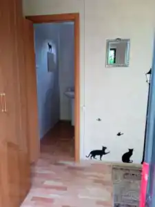 Феличита - 31