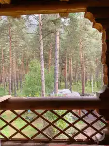 Три медведя - 46