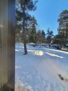 Архыз Сити - 409