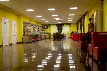 Медведефф - 6