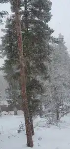 Архыз Сити - 470