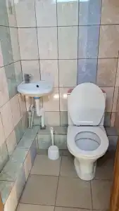 Бамбук - 1