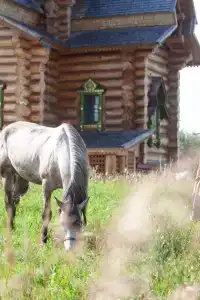 Золото Алтая - 21