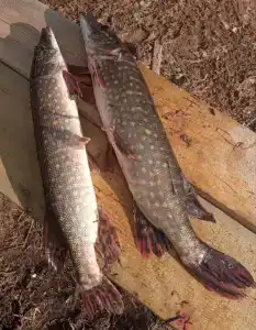 Горе-Море - 36