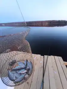 Горе-Море - 35