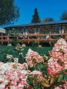 Рыжая Сова - 12