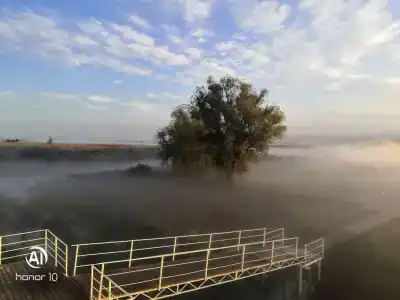 Волга-Дельта - 2