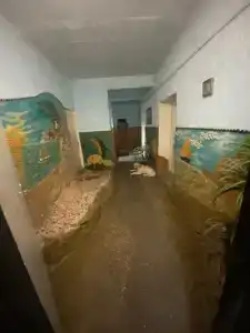 Островок - 1