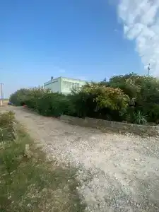 Островок - 2