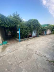 Островок - 9