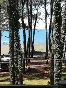 Kaprovani Kako - 15