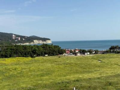 Chateau de Provans - 36