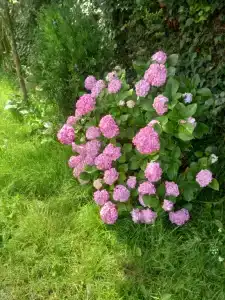 Sun - 3