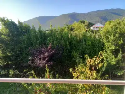 Sun - 2