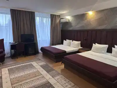 Новый - 19