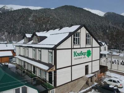 Клевер - 1