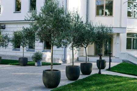 Grand Royal Residences - 39