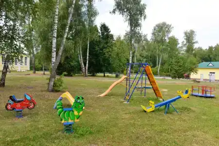 Лесное - 11