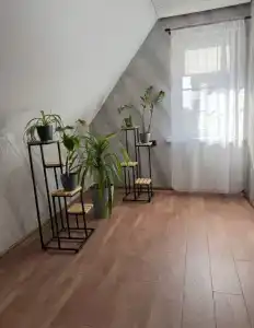 Александровский - 6