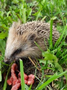 Дом на Волге - 75