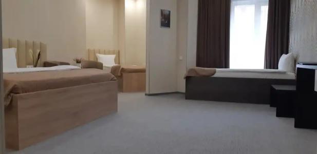 Sleepers Avia Hotel DME - 6