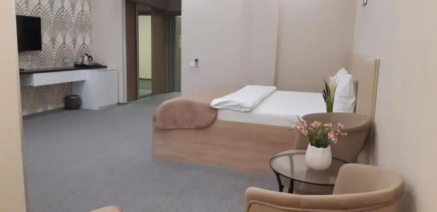 Sleepers Avia Hotel DME - 10