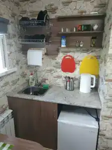 Сенполия - 50