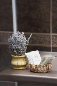 Радужный - 81