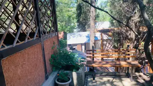 Кипарисовый дворик - 12